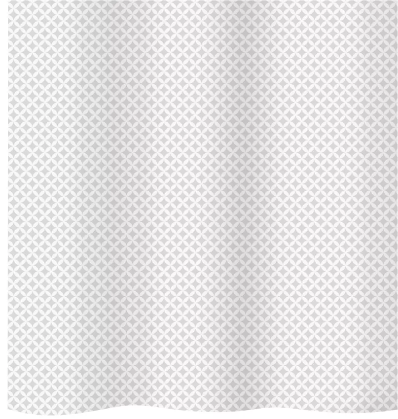 81000205_medium_1.webp